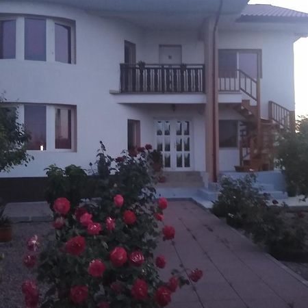 Douăzeci şi Trei August Casa Doina酒店 外观 照片