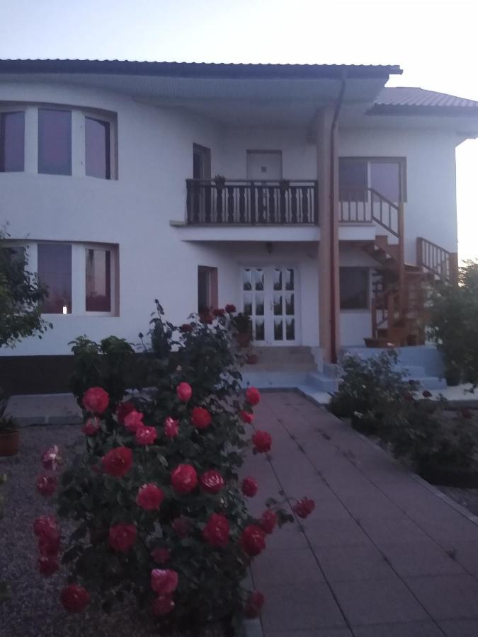 Douăzeci şi Trei August Casa Doina酒店 外观 照片