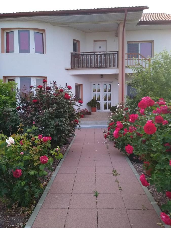 Douăzeci şi Trei August Casa Doina酒店 外观 照片