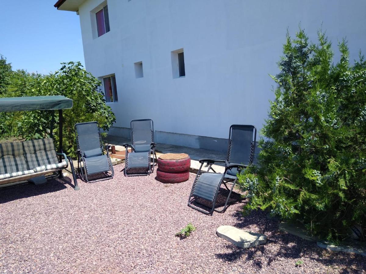 Douăzeci şi Trei August Casa Doina酒店 外观 照片