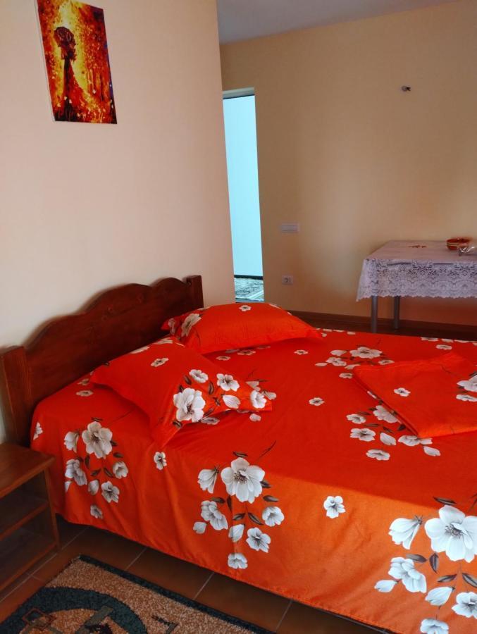 Douăzeci şi Trei August Casa Doina酒店 外观 照片