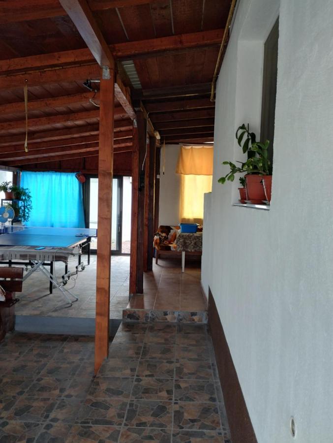 Douăzeci şi Trei August Casa Doina酒店 外观 照片