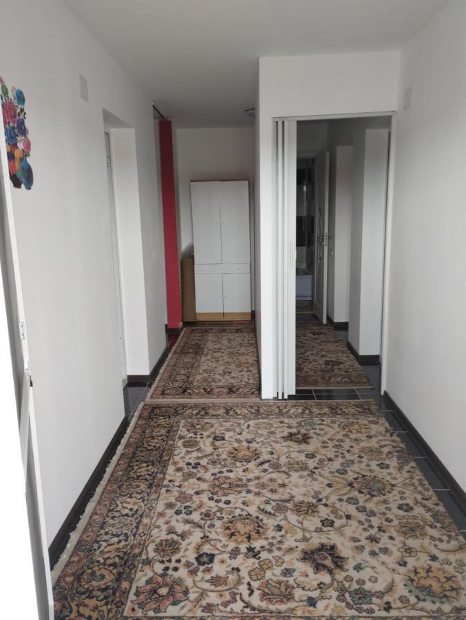 Douăzeci şi Trei August Casa Doina酒店 外观 照片