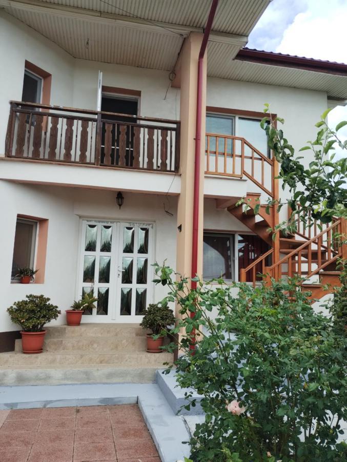 Douăzeci şi Trei August Casa Doina酒店 外观 照片
