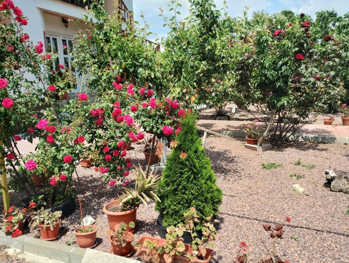 Douăzeci şi Trei August Casa Doina酒店 外观 照片
