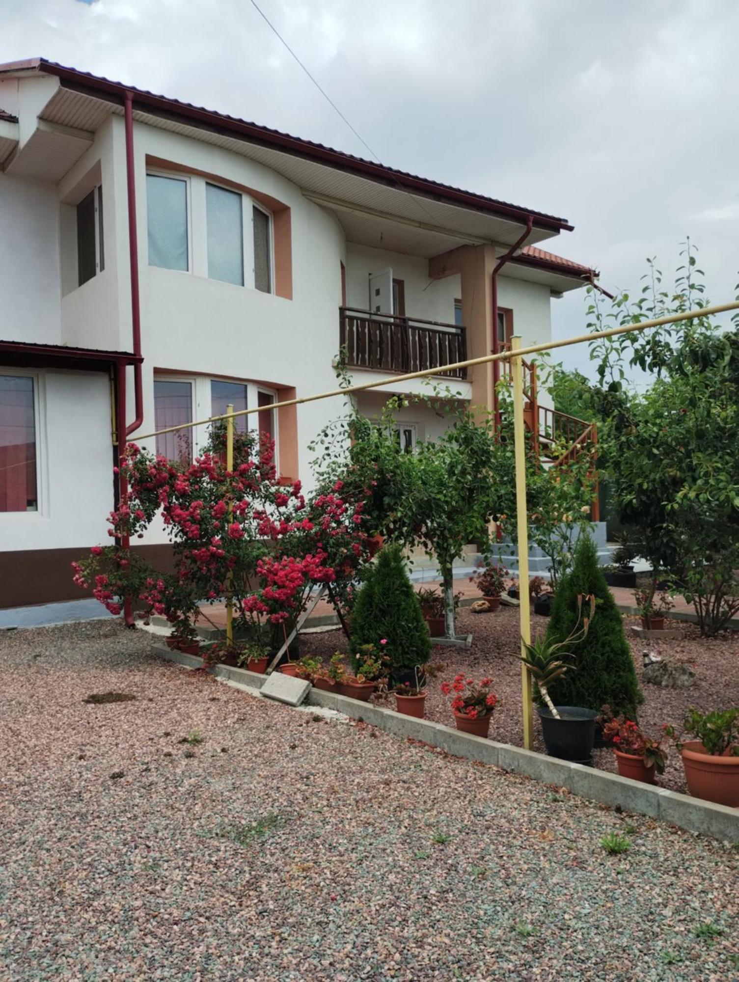 Douăzeci şi Trei August Casa Doina酒店 外观 照片