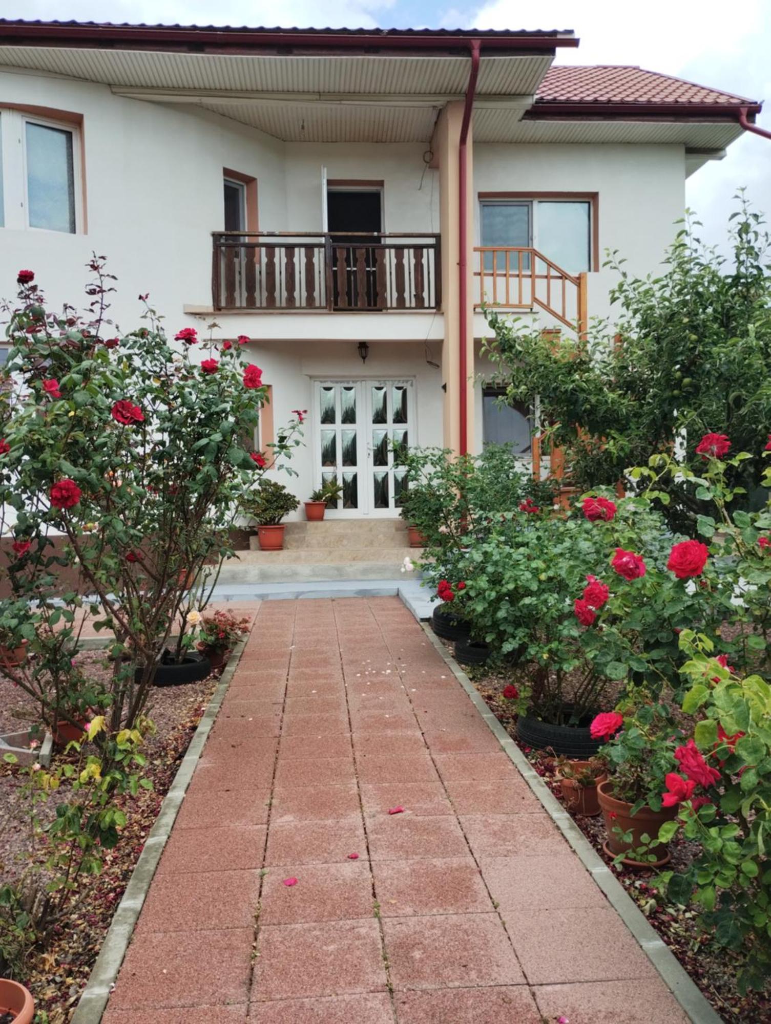 Douăzeci şi Trei August Casa Doina酒店 外观 照片